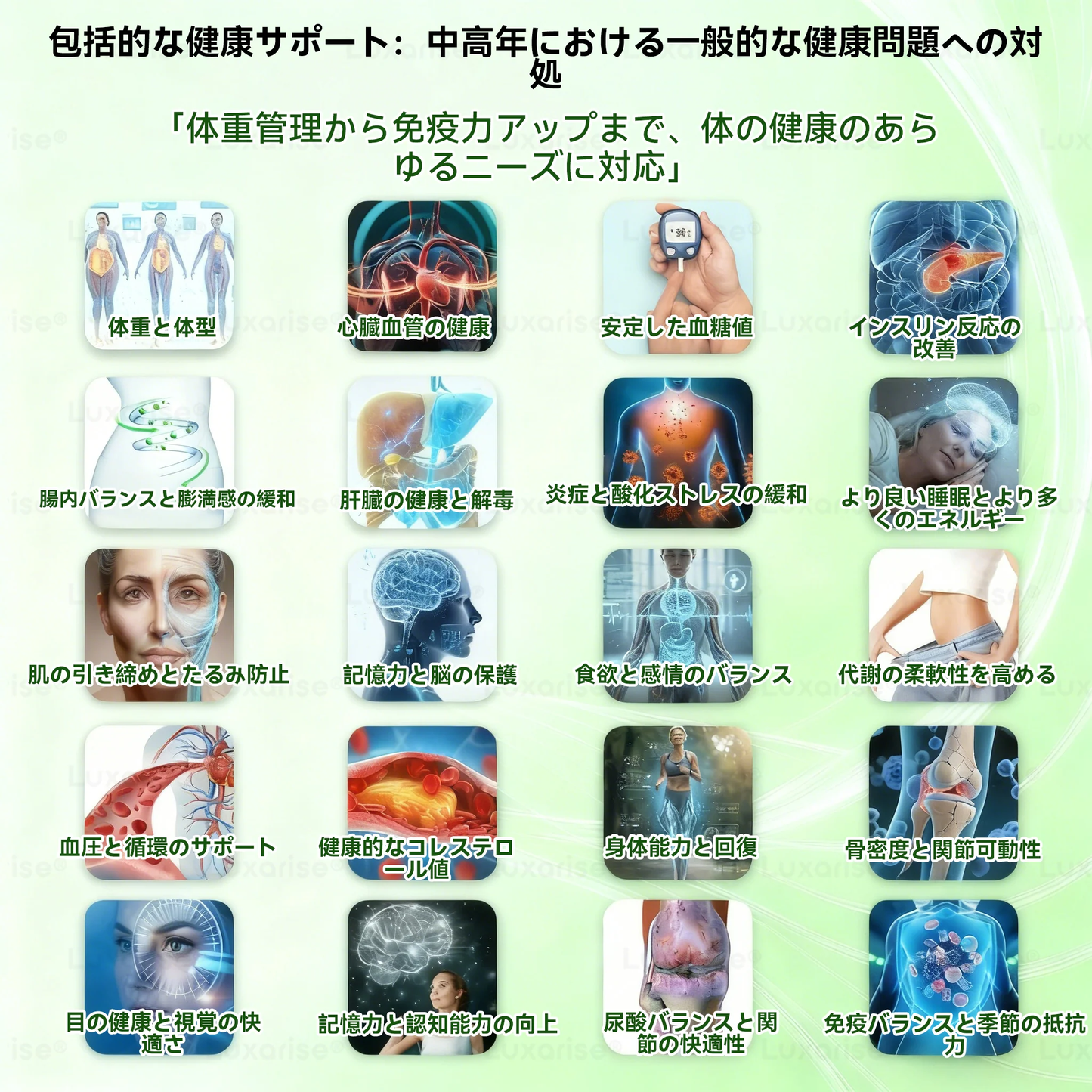 [お腹の脂肪・ポッコリ対策に] 💎💎 Luxarise® モリンガ＆ベルベリン 10-IN-1 高機能ナノマイクロニードルパッチ（1日1回、7日で変化を実感） 肥満・糖尿病・睡眠時無呼吸症候群・関節の悩み向け